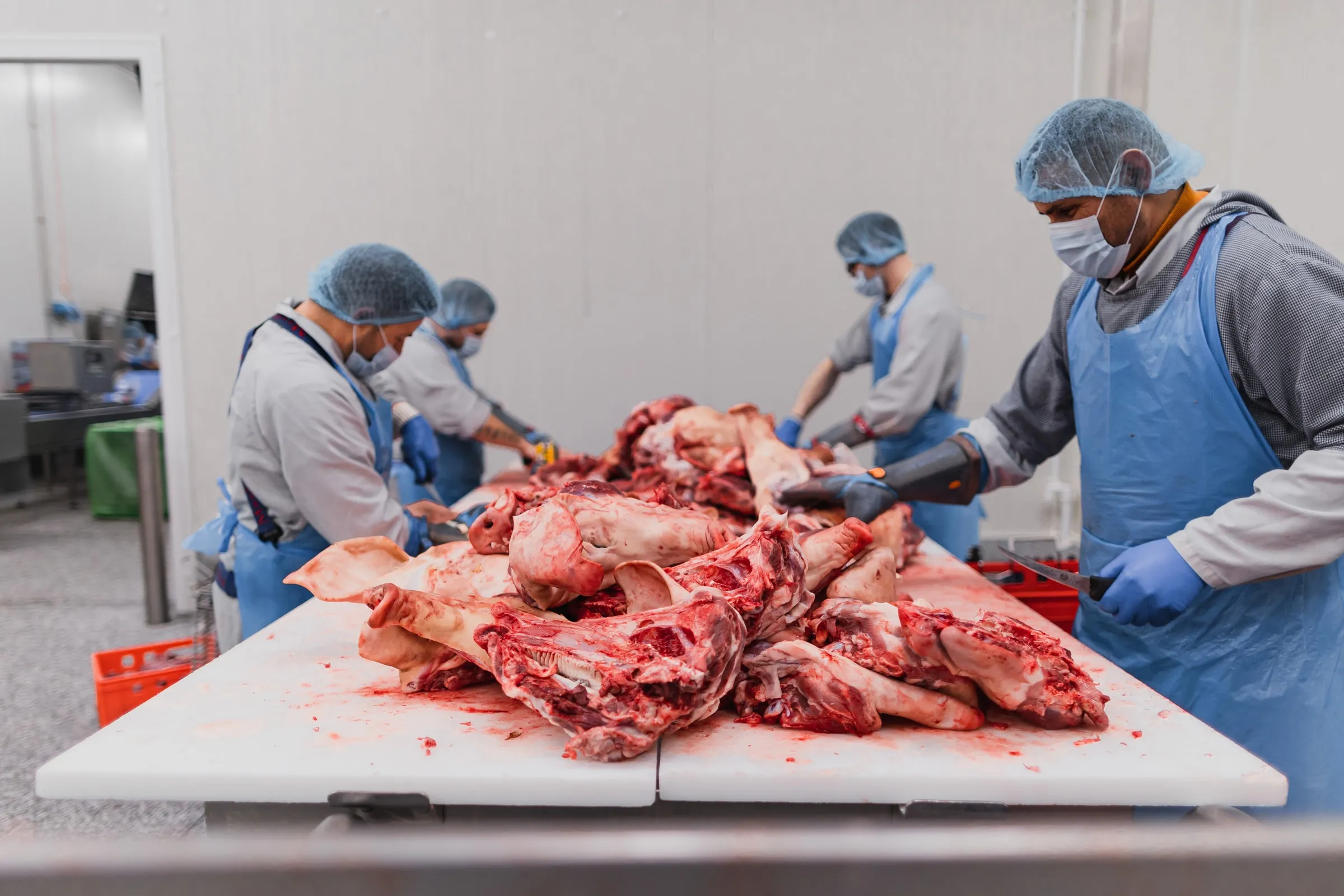 Versnijders aan de snijtafel in de snijzaal van De Stoop